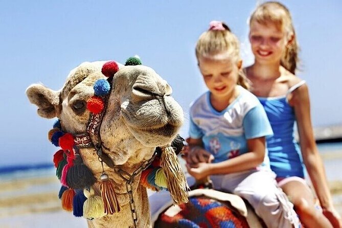 Tangier Luxury Private Guided Day Tour from Cadiz All Inclusive - Medina of Tangier: Food, Craft Shopping, and How to Avoid Bad Bargains