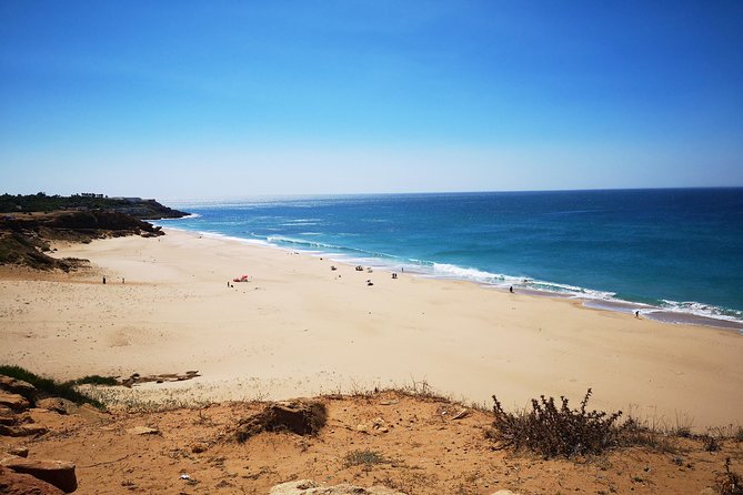 Tangier (Morocco) Day Trip from Seville with Local Guide - Who This Tour Suits, and Who Should Skip It