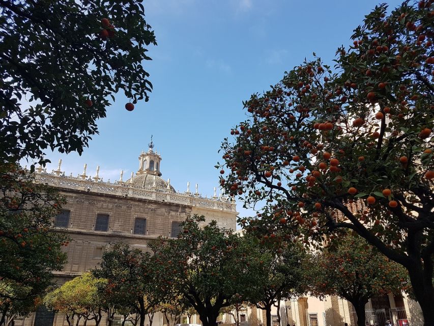 The Best of Seville: Private 2,5 Hour Walking Tour - Santa Cruz: Narrow Streets, Courtyards, and Flower-Scene Details