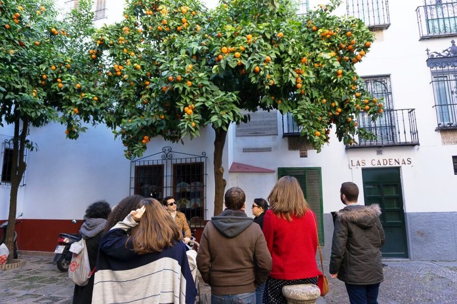 The Cultures of Seville Walking Tour - Nightfall in the Historic Center: How the Same Streets Change