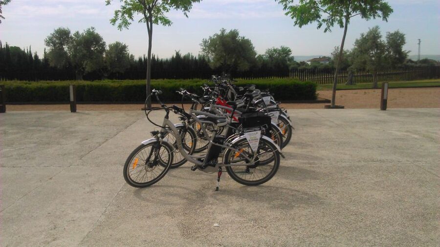 Tour bicicleta a Medina Azahara - Jorge’s guide style and the value of a small group