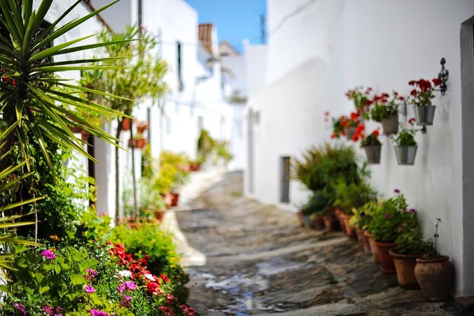 Vejer de la Frontera & Bolonia Beach Private Tour from Cadiz - Bolonia Beach: A Real Coastal Break, Not Just a Photo Stop