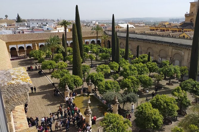 Visit Cathedral Mosque of Córdoba - Who this tour suits best