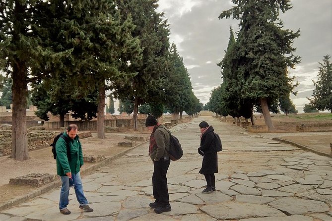 Visit to Italica Roman Ruins Tour tickets included - Meeting at Av. Extremadura 2 in Santiponce: Fast Start, Clear Plan