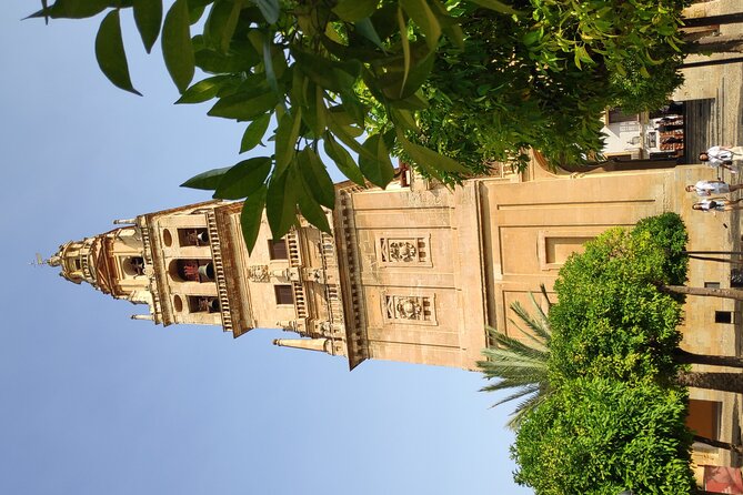 Walking Tour in Heritage center of Cordoba - Calleja de las Flores: the beautiful flower alley, timed for impact