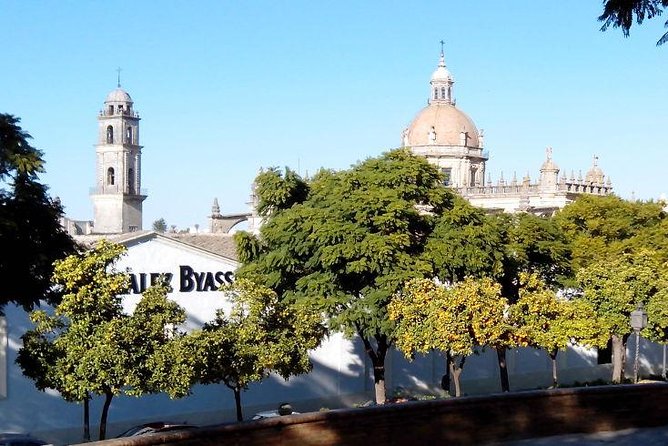 Walking tour in Jerez - Key Things To Know Before You Go