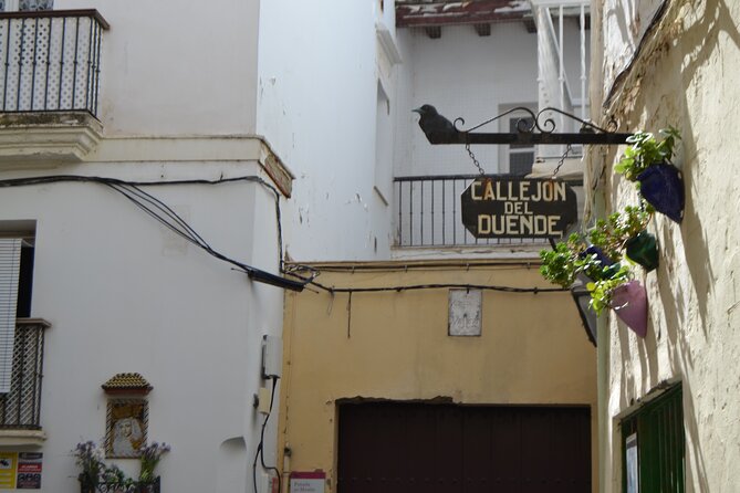 Walking Tour through Cádiz: Stories from the hand of a local guide - Price and Logistics: Why About $16.33 Can Make Sense