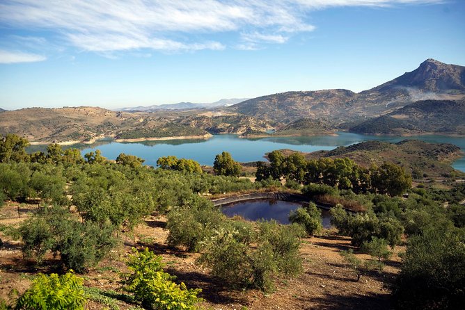 White Villages and Ronda Day Tour from Seville - Key points to know before you book