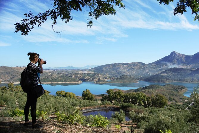 White Villages and Ronda Day Tour from Seville - The Ride South: Fields, Then a Medieval Border Castle