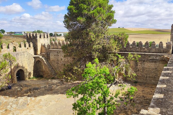 White Villages and Ronda Day Tour from Seville - Ronda on Two Cliffs: New Bridge, Big Walks, and Tight Time